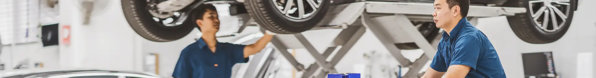 banner image
